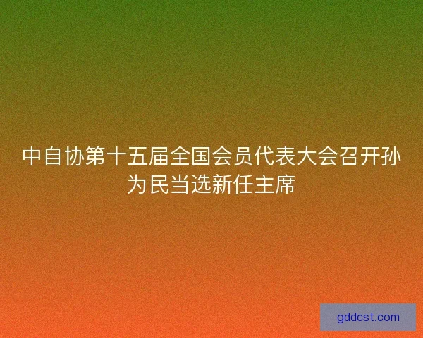 中自协第十五届全国会员代表大会召开孙为民当选新任主席