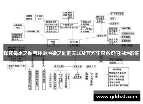 探究毒水之源与环境污染之间的关联及其对生态系统的深远影响