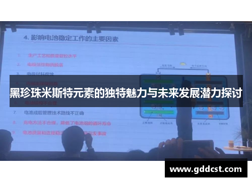 黑珍珠米斯特元素的独特魅力与未来发展潜力探讨